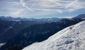 Tocht Sneeuwschoenen La Giettaz - Col des Aravis - Photo 4