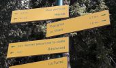 Trail Walking Saint-André - Pralognan - Plan du Clos - Photo 9