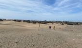 Percorso Marcia San Bartolomé de Tirajana - Les dunes de Maspalomas (Gran Canaria) - Photo 7