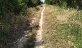 Tocht Wegfiets Le Grau-du-Roi - grau vélo marssillargues 17.06.23 - Photo 7