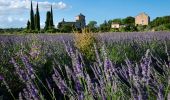 Tour Wandern Larnas - Larnas Champagnole 9km. - Photo 1