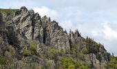 Tour Wandern Sondernach - 2023-05-19 WE Marche Bivouac Massif du Hohneck - Photo 7