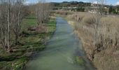 Percorso A piedi Montespertoli - Dolce campagna antiche mura 4 - Photo 8