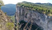 Randonnée Marche Plan-de-Baix - Le Canyon des Gueulards - Photo 5