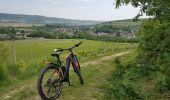 Trail Mountain bike Château-Thierry - Sortie du 14/07/2022 - Photo 1
