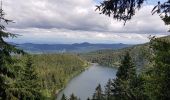 Trail Walking Orbey - Tour des 3 lacs (lac noir, blanc, Forlet) Vosges - Photo 10