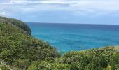 Tour Wandern Anse-Bertrand - Porte d’enfer anse Bertrand  - Photo 4