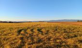 Trail Walking Valensole - plateau de valensole . ravin des cognets . ravin de la combe  - Photo 11