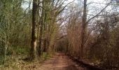 Trail Walking Vergt-de-Biron - Biron 18km - Photo 3