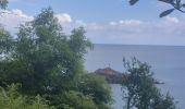 Tour Wandern Binic-Étables-sur-Mer - GR_34_CE_18_Binic-Etables-Sur-Mer_Treveneuc_20240526 - Photo 4