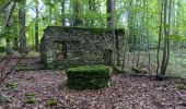 Trail Walking Spa - les eaux au sud de Spa  - Photo 6
