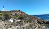 Tocht Stappen Port-Vendres - les Paulilles - Cap Bear via le sentier du littoral  / retour via collines et vignes  - Photo 16