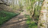 Trail Walking Château-Thierry - D'une rive à l'autre par Azy - Photo 2