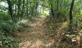 Trail Walking Lisle - Lisle - Bois de l'Epau - Photo 13