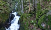 Tour Wandern Stoßweier - Saegmatt Cascade de Stolz Ablass Frankenthal - Photo 8