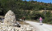 Trail Walking Peyruis - Rome-32-Peyruis-Aubignosc-20160911 - Photo 3