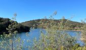 Excursión  Bormes-les-Mimosas - Barrage du trépan la louve - Photo 2