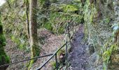 Trail Walking Bertrix - Auby sur Semois 140324 - Photo 11