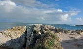 Excursión Senderismo Quiberon - PR_56_Quiberon_BA_02_Cote-Baie_Circuit1b_20230102 - Photo 12
