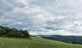 Trail On foot Oberhausen bei Kirn - Drei-Burgen-Weg - Photo 1