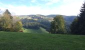 Randonnée Marche Münstertal/Schwarzwald - Spielwieg romantik - Photo 1