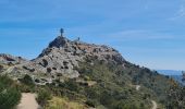 Trail Walking Le Revest-les-Eaux - Le tour du mt Caume - Photo 9