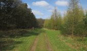 Tour Zu Fuß West Suffolk - Forest and Heath Trail - Photo 2