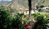Tour Wandern Vallehermoso - La Gomera - Valhermoso Santa Clara (4) 8/5/2019 - Photo 6