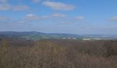 Tour Zu Fuß Ober-Mörlen - Wanderwege Winterstein - Alttier - Photo 5