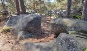 Trail Walking Fontainebleau - T Hippo - Photo 2