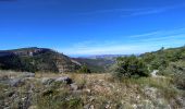 Trail Walking Plan-d'Aups-Sainte-Baume - plan d'aups ste baume - Photo 8