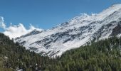 Tour Zu Fuß Scuol - Alp Sesvenna - Rims - Photo 4