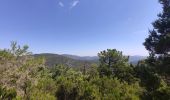 Excursión Bici de montaña La Môle - VTT - La Mole - Barrage de La Verne - Chartreuse de La Verne - Capelude - Retour La Mole par les crêtes - Photo 19