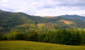 Percorso A piedi Bobbio - Monteventano - Casa Colombani - Passo Caldarola - Photo 6