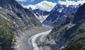 Tocht Stappen Chamonix-Mont-Blanc - CHAMONIX ... du Plan de l'Aiguille au Montenvers.  - Photo 5