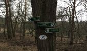 Tocht Te voet Bestensee - Wanderweg Sutschketal - Photo 7