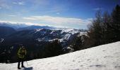 Trail Snowshoes Villars-Colmars - croix de sellanche - Photo 1