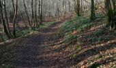 Tocht Stappen Lobbes - Mont Sainte Geneviève  - Photo 9