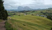 Tour Wandern Kastelruth - Seiser Alm - Puflatsch Rundweg zu den Hexenbänken - Photo 8