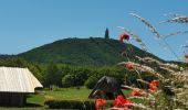 Randonnée A pied Kelbra (Kyffhäuser) - Rundweg 1: Schleiferweg-Dorntal - Photo 9