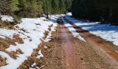 Trail Walking Vexaincourt - lac de la Maix - Photo 4