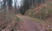 Trail Walking Liège - ile rousseau . château colonster . pnt tilff . sur cortil . aux 7collines . embourg . sainval . ile rousseau   - Photo 9