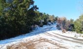 Trail Walking La Garde-Freinet - roches blanches - Photo 2