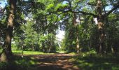 Trail Walking Rethondes - en forêt de Laigue_8_06_2020_les Routes des Bonshommes, de la Trouée des Bonhommes_Route forestière de Sainte-Croix - Photo 18