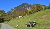 Percorso A piedi Gemeinde Reichenau an der Rax - Weg PA 14 - Photo 1