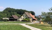 Tour Zu Fuß Stallikon - Näferhüser - Müliberg - Photo 2