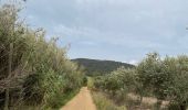 Excursión Senderismo La Londe-les-Maures - Dolmen de Gautabry par le vallon de Tamary - Photo 17