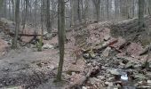 Trail Walking Spa - la havette . berinzenne . thier des rexhons . source geronstere . source barisart .  chapelle de la Roche . la havette  - Photo 16