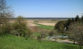 Tour Zu Fuß Dobl-Zwaring - Dobl Rundwanderweg 5 - Photo 6