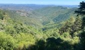 Excursión Bici de montaña Meyrueis - fait GTMC 2022 E5 Valleraugue  - Photo 8